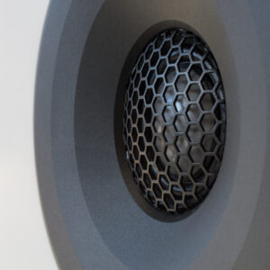 LS1be tweeter detail 2